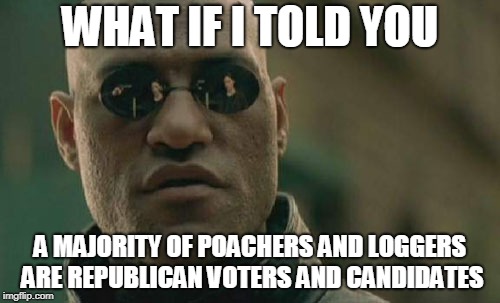 Matrix Morpheus | WHAT IF I TOLD YOU; A MAJORITY OF POACHERS AND LOGGERS ARE REPUBLICAN VOTERS AND CANDIDATES | image tagged in memes,matrix morpheus,poaching,poacher,republican,republicans | made w/ Imgflip meme maker