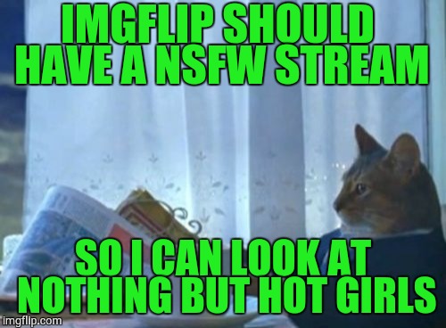 I Should Buy A Boat Cat | IMGFLIP SHOULD HAVE A NSFW STREAM; SO I CAN LOOK AT NOTHING BUT HOT GIRLS | image tagged in memes,i should buy a boat cat | made w/ Imgflip meme maker