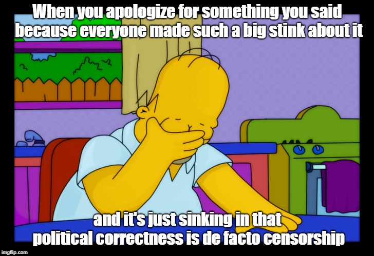 Sorry--I Don't Know What Got Into Me | When you apologize for something you said because everyone made such a big stink about it; and it's just sinking in that political correctness is de facto censorship | image tagged in homer head in hands,political correctness,censorship,memes | made w/ Imgflip meme maker