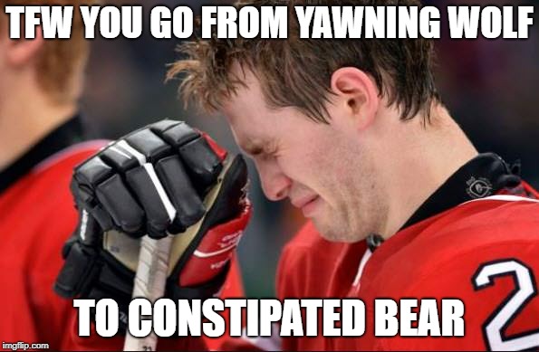 TFW YOU GO FROM YAWNING WOLF; TO CONSTIPATED BEAR | made w/ Imgflip meme maker