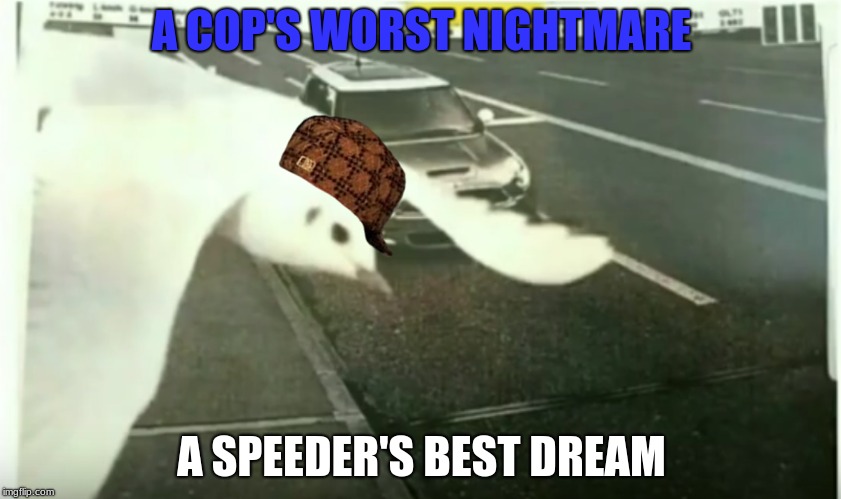 When You Get Saved By A Bird | A COP'S WORST NIGHTMARE; A SPEEDER'S BEST DREAM | image tagged in memes,funny,animals,speeders,scumbag,cops | made w/ Imgflip meme maker