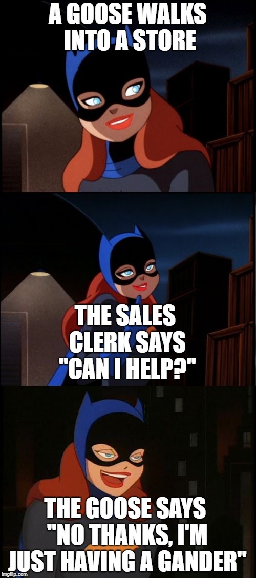 This quacks me up.... | A GOOSE WALKS INTO A STORE THE SALES CLERK SAYS "CAN I HELP?" THE GOOSE SAYS "NO THANKS, I'M JUST HAVING A GANDER" | image tagged in bad pun batgirl,goose | made w/ Imgflip meme maker