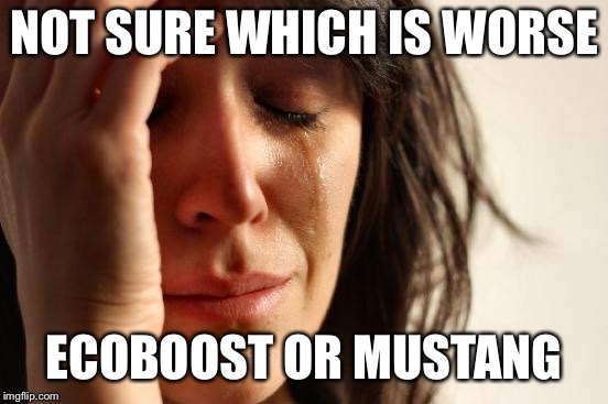 First World Problems Meme | NOT SURE WHICH IS WORSE ECOBOOST OR MUSTANG | image tagged in memes,first world problems | made w/ Imgflip meme maker