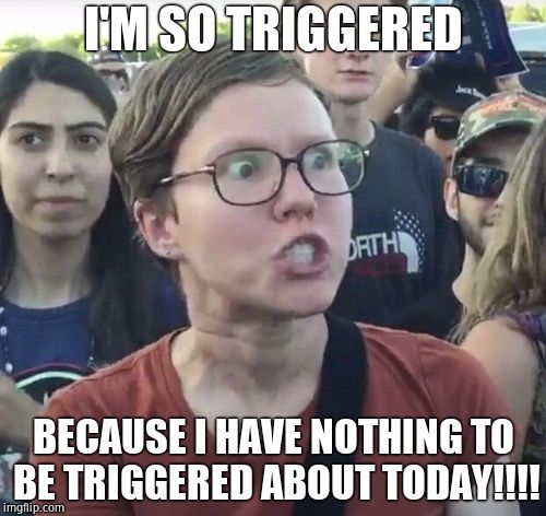 The far left | I'M SO TRIGGERED; BECAUSE I HAVE NOTHING TO BE TRIGGERED ABOUT TODAY!!!! | image tagged in triggered feminist,triggered,leftists | made w/ Imgflip meme maker