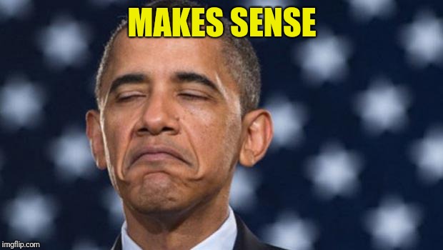 "Seems Legit" Obama | MAKES SENSE | image tagged in seems legit obama | made w/ Imgflip meme maker
