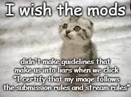 Guidelines that are inherently unclear and/or unable to be enforced lead to unnecessary confusion. | I wish the mods; didn't make guidelines that make us into liars when we click "I certify that my image follows the submission rules and stream rules" | image tagged in memes,sad cat,imgflip,reposts,politics,guidelines | made w/ Imgflip meme maker