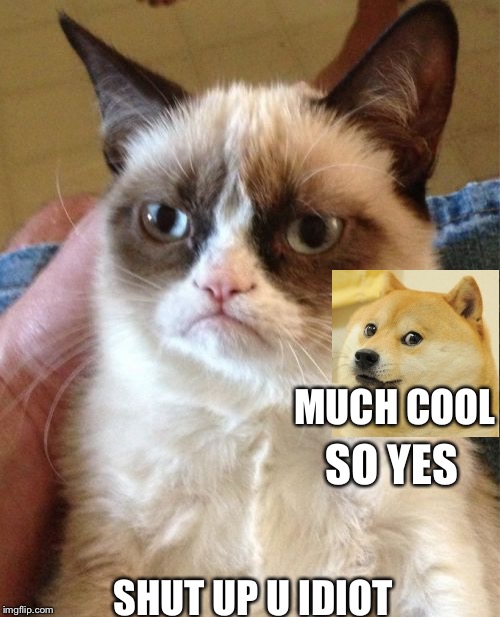Grumpy Cat Meme | MUCH COOL; SO YES; SHUT UP U IDIOT | image tagged in memes,grumpy cat | made w/ Imgflip meme maker