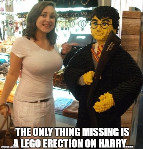 harry lego | THE ONLY THING MISSING IS A LEGO ERECTION ON HARRY.... | image tagged in harry lego | made w/ Imgflip meme maker