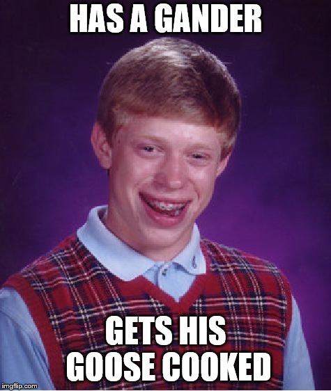 Bad Luck Brian Meme | HAS A GANDER GETS HIS GOOSE COOKED | image tagged in memes,bad luck brian | made w/ Imgflip meme maker