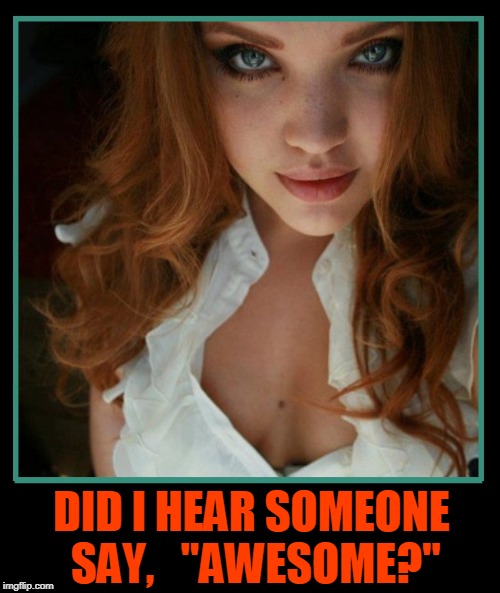 Redhead Obsession #39 | DID I HEAR SOMEONE SAY,   "AWESOME?" | image tagged in vince vance,redheads,pretty girl,awesome,hot girl,sexy women | made w/ Imgflip meme maker