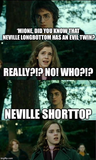 Harry Potter and Hermione | ‘MIONE, DID YOU KNOW THAT NEVILLE LONGBOTTOM HAS AN EVIL TWIN? REALLY?!? NO! WHO?!? NEVILLE SHORTTOP | image tagged in harry potter and hermione | made w/ Imgflip meme maker