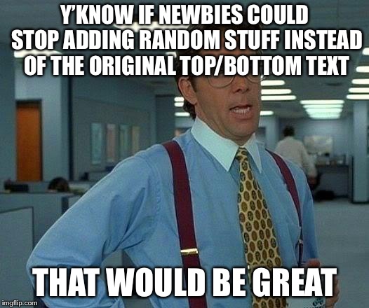 That Would Be Great Meme | Y’KNOW IF NEWBIES COULD STOP ADDING RANDOM STUFF INSTEAD OF THE ORIGINAL TOP/BOTTOM TEXT THAT WOULD BE GREAT | image tagged in memes,that would be great | made w/ Imgflip meme maker