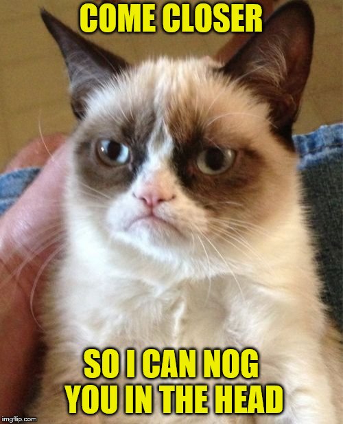 Grumpy Cat Meme | COME CLOSER SO I CAN NOG YOU IN THE HEAD | image tagged in memes,grumpy cat | made w/ Imgflip meme maker