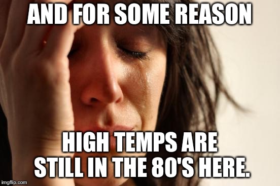 It's November | AND FOR SOME REASON; HIGH TEMPS ARE STILL IN THE 80'S HERE. | image tagged in memes,first world problems,california,heat | made w/ Imgflip meme maker