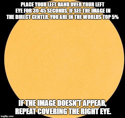 Simple test reveals if you're a Genius. |  PLACE YOUR LEFT HAND OVER YOUR LEFT EYE FOR 30-45 SECONDS. IF SEE THE IMAGE IN THE DIRECT CENTER, YOU ARE IN THE WORLDS TOP 5%; IF THE IMAGE DOESN'T APPEAR, REPEAT COVERING THE RIGHT EYE. | image tagged in genius,food,cooking,bad luck brian,marijuana,donald trump | made w/ Imgflip meme maker