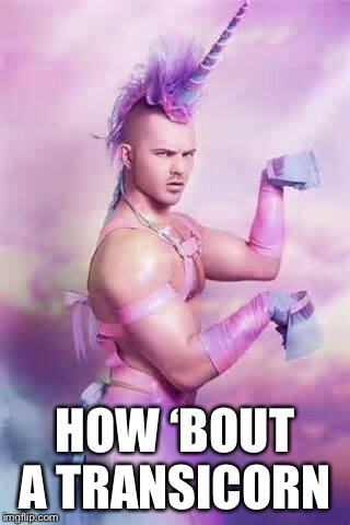 Gay Unicorn | HOW ‘BOUT A TRANSICORN | image tagged in gay unicorn | made w/ Imgflip meme maker