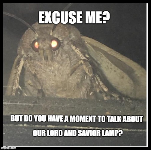 Moth memes | EXCUSE ME? BUT DO YOU HAVE A MOMENT TO TALK ABOUT; OUR LORD AND SAVIOR LAMP? | image tagged in moth,lamp | made w/ Imgflip meme maker