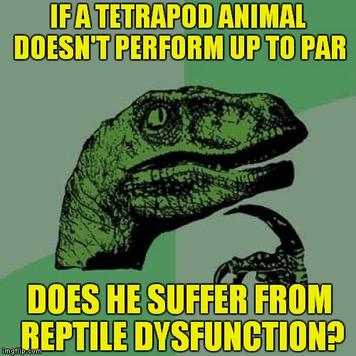 Asking For A Friend.. | IF A TETRAPOD ANIMAL DOESN'T PERFORM UP TO PAR; DOES HE SUFFER FROM REPTILE DYSFUNCTION? | image tagged in memes,philosoraptor | made w/ Imgflip meme maker