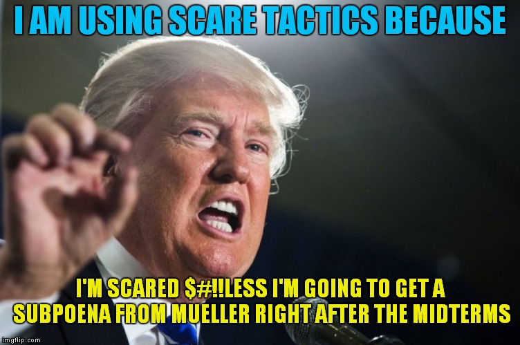 Starting On Nov. 7th I'm Not Home! | I AM USING SCARE TACTICS BECAUSE; I'M SCARED $#!!LESS I'M GOING TO GET A SUBPOENA FROM MUELLER RIGHT AFTER THE MIDTERMS | image tagged in donald trump | made w/ Imgflip meme maker