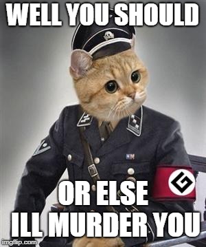 Grammar Nazi Cat | WELL YOU SHOULD OR ELSE ILL MURDER YOU | image tagged in grammar nazi cat | made w/ Imgflip meme maker