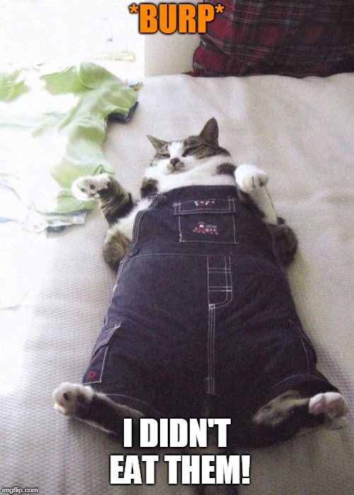 Fat Cat Meme | *BURP* I DIDN'T EAT THEM! | image tagged in memes,fat cat | made w/ Imgflip meme maker