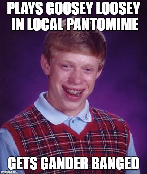 Bad Luck Brian Meme | PLAYS GOOSEY LOOSEY IN LOCAL PANTOMIME GETS GANDER BANGED | image tagged in memes,bad luck brian | made w/ Imgflip meme maker