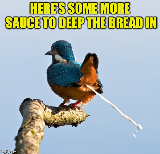 Bird pooing | HERE’S SOME MORE SAUCE TO DEEP THE BREAD IN | image tagged in bird pooing | made w/ Imgflip meme maker