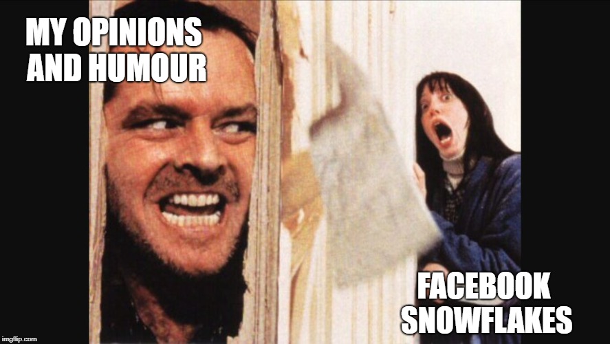 Here's johnny | MY OPINIONS AND HUMOUR; FACEBOOK SNOWFLAKES | image tagged in here's johnny | made w/ Imgflip meme maker