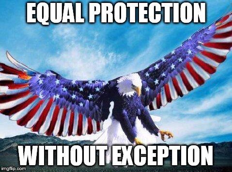 all hail the 14th | EQUAL PROTECTION; WITHOUT EXCEPTION | image tagged in freedom eagle,equal rights | made w/ Imgflip meme maker