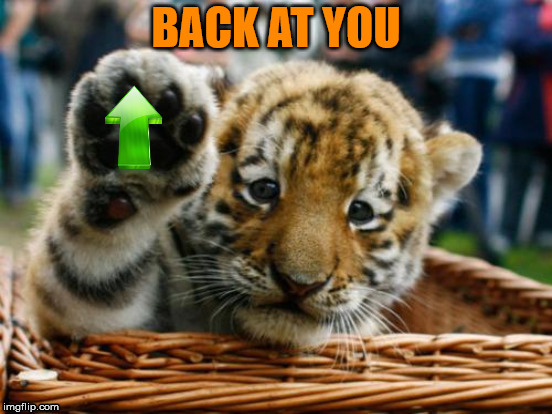 BACK AT YOU | made w/ Imgflip meme maker