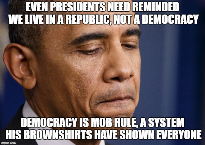 Not as scholarly as he thought | EVEN PRESIDENTS NEED REMINDED WE LIVE IN A REPUBLIC, NOT A DEMOCRACY; DEMOCRACY IS MOB RULE, A SYSTEM HIS BROWNSHIRTS HAVE SHOWN EVERYONE | image tagged in republic,democracy | made w/ Imgflip meme maker