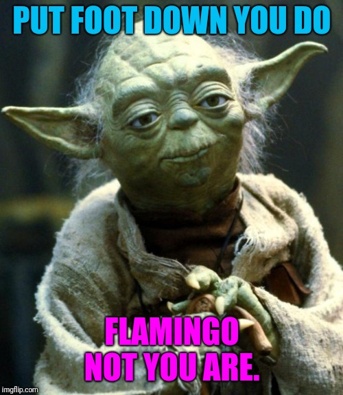 Star Wars Yoda Meme | PUT FOOT DOWN YOU DO FLAMINGO NOT YOU ARE. | image tagged in memes,star wars yoda | made w/ Imgflip meme maker