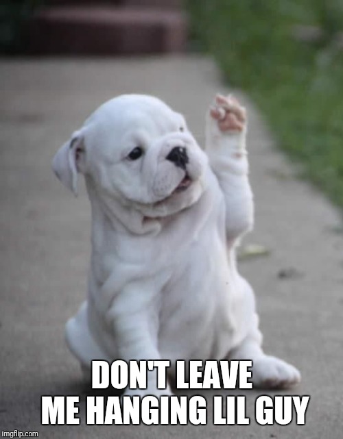 Puppy High Five  | DON'T LEAVE ME HANGING LIL GUY | image tagged in puppy high five | made w/ Imgflip meme maker