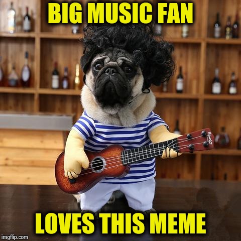 Ukelele Pug | BIG MUSIC FAN LOVES THIS MEME | image tagged in ukelele pug | made w/ Imgflip meme maker