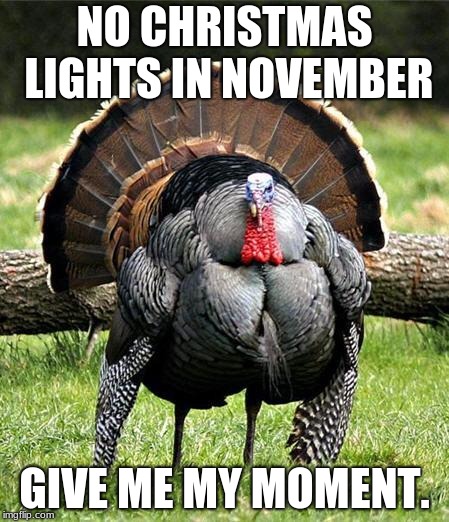 No Christmas lights in November | NO CHRISTMAS LIGHTS IN NOVEMBER; GIVE ME MY MOMENT. | image tagged in thanksgiving day,christmas decorations | made w/ Imgflip meme maker