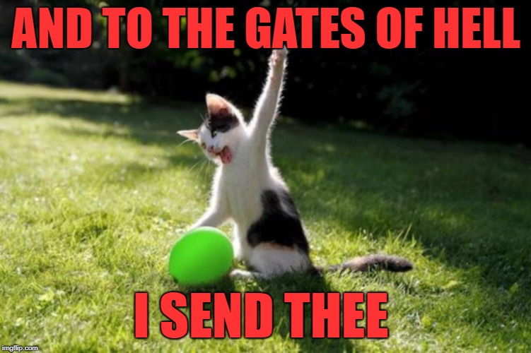 ballone death | AND TO THE GATES OF HELL; I SEND THEE | image tagged in cat,ballons | made w/ Imgflip meme maker