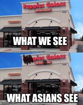 Pies Galore | WHAT WE SEE; WHAT ASIANS SEE | image tagged in asian | made w/ Imgflip meme maker