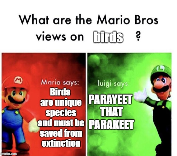 With who do you agree? | birds; Birds are unique species and must be saved from extinction; PARAYEET THAT PARAKEET | image tagged in what are the mario bros views on,memes,funny,birds,yeet,super mario | made w/ Imgflip meme maker