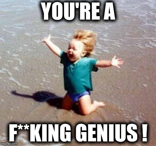 Celebration | YOU'RE A F**KING GENIUS ! | image tagged in celebration | made w/ Imgflip meme maker