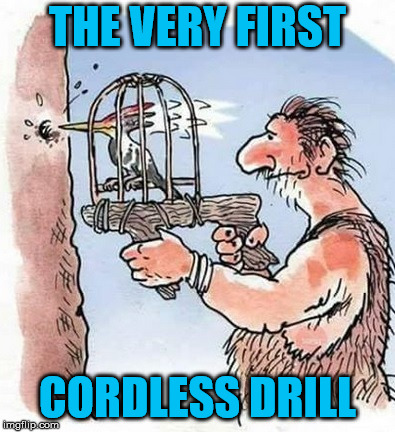 Cordless Drill | THE VERY FIRST; CORDLESS DRILL | image tagged in cordless drill,memes,roll safe think about it,bird,man | made w/ Imgflip meme maker