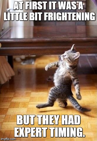 Cool Cat Stroll Meme | AT FIRST IT WAS A LITTLE BIT FRIGHTENING BUT THEY HAD EXPERT TIMING. | image tagged in memes,cool cat stroll | made w/ Imgflip meme maker