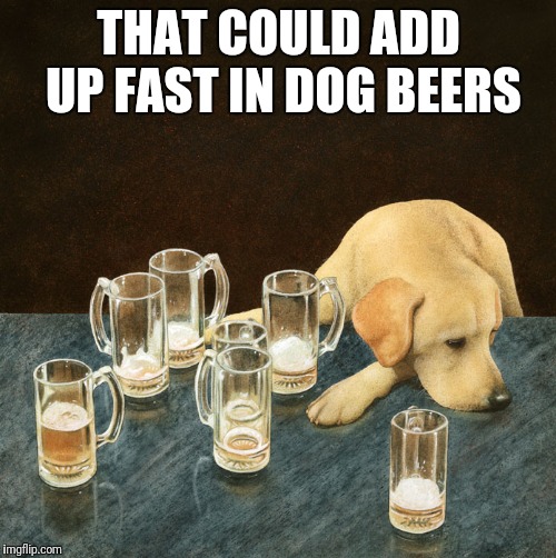 THAT COULD ADD UP FAST IN DOG BEERS | made w/ Imgflip meme maker