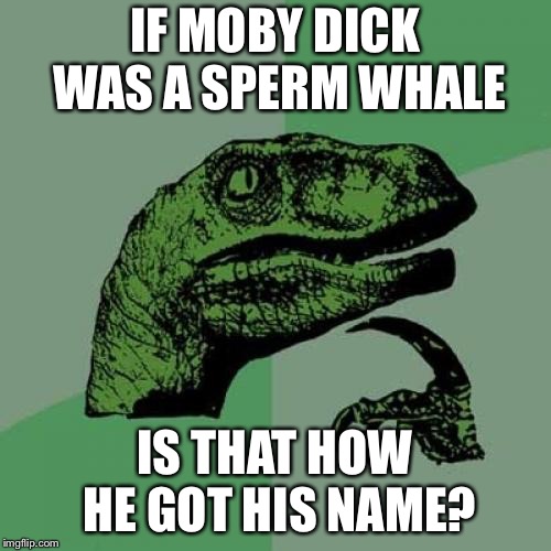 Philosoraptor Meme | IF MOBY DICK WAS A SPERM WHALE; IS THAT HOW HE GOT HIS NAME? | image tagged in memes,philosoraptor | made w/ Imgflip meme maker