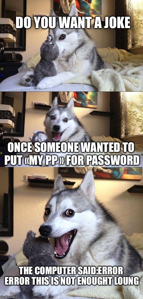 Bad Pun Dog | DO YOU WANT A JOKE; ONCE SOMEONE WANTED TO PUT «MY PP » FOR PASSWORD; THE COMPUTER SAID:ERROR ERROR THIS IS NOT ENOUGHT LOUNG | image tagged in memes,bad pun dog | made w/ Imgflip meme maker
