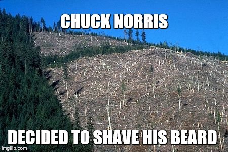 Chuck Norris forest | CHUCK NORRIS; DECIDED TO SHAVE HIS BEARD | image tagged in memes,chuck norris,trees,shaving,beards,fishing for upvotes | made w/ Imgflip meme maker