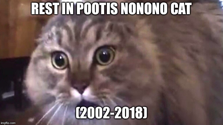 A fine mem has died | REST IN POOTIS NONONO CAT; (2002-2018) | image tagged in nonono cat,memes,ded | made w/ Imgflip meme maker