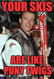 YOUR SKIS ARE LIKE PUNY TWIGS | made w/ Imgflip meme maker
