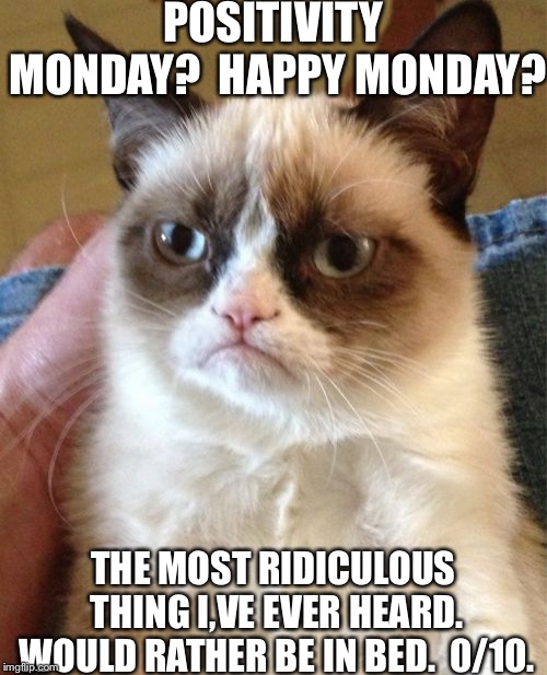 Grumpy Cat | POSITIVITY MONDAY? 
HAPPY MONDAY? THE MOST RIDICULOUS THING I,VE EVER HEARD. WOULD RATHER BE IN BED.  0/10. | image tagged in memes,grumpy cat | made w/ Imgflip meme maker