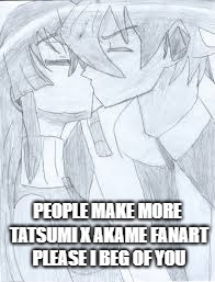 Tatsumi x Akame Need More Fanart | PEOPLE MAKE MORE TATSUMI X AKAME FANART PLEASE I BEG OF YOU | image tagged in akame ga kill | made w/ Imgflip meme maker