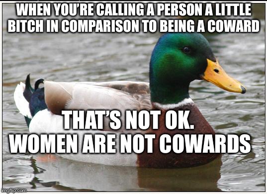 Actual Advice Mallard Meme | WHEN YOU’RE CALLING A PERSON A LITTLE BITCH IN COMPARISON TO BEING A COWARD; THAT’S NOT OK.  WOMEN ARE NOT COWARDS | image tagged in memes,actual advice mallard | made w/ Imgflip meme maker